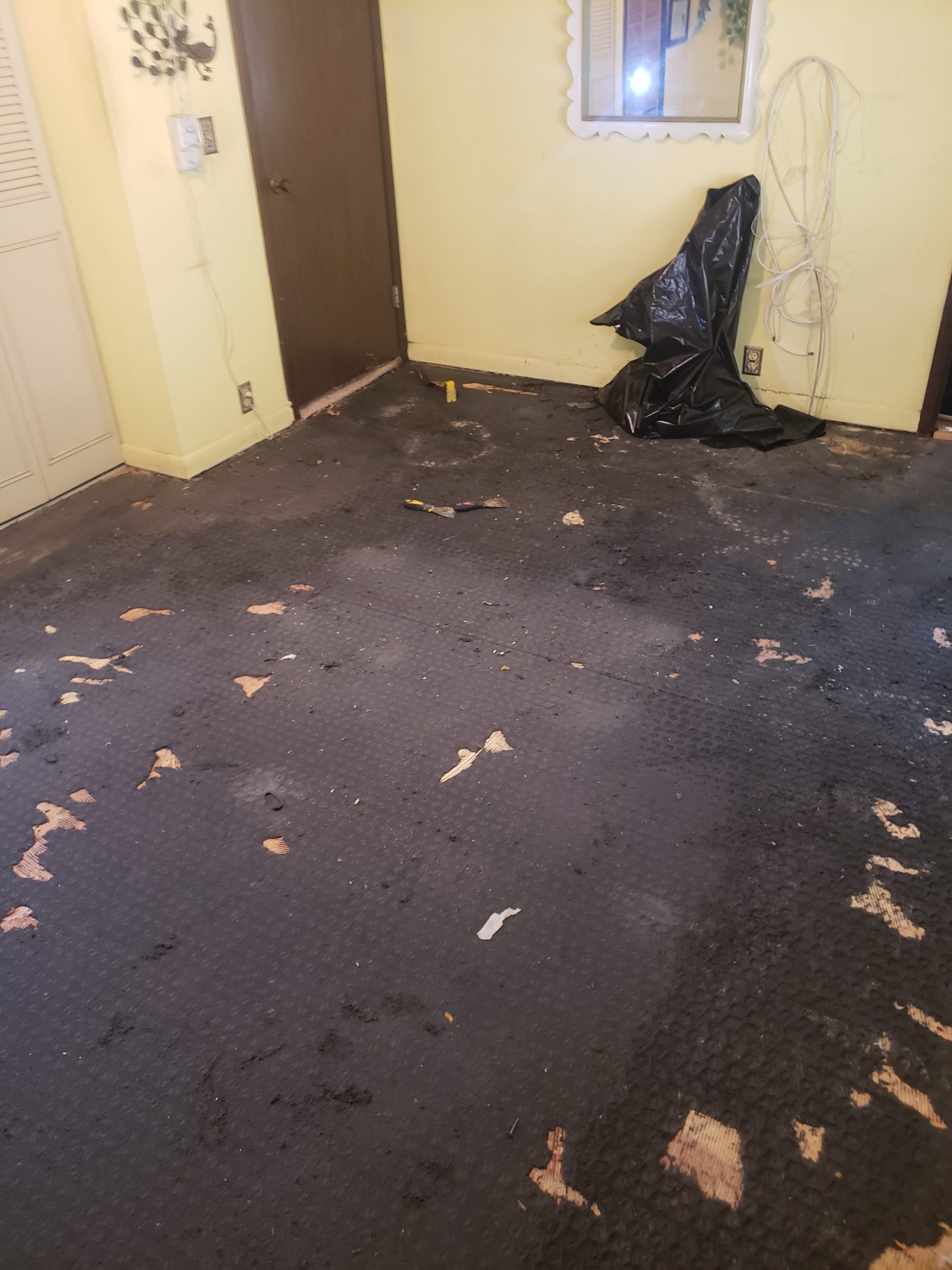 Carpet Removal-The Remodeling Doctor